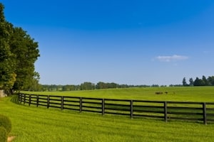 Ranch Fence